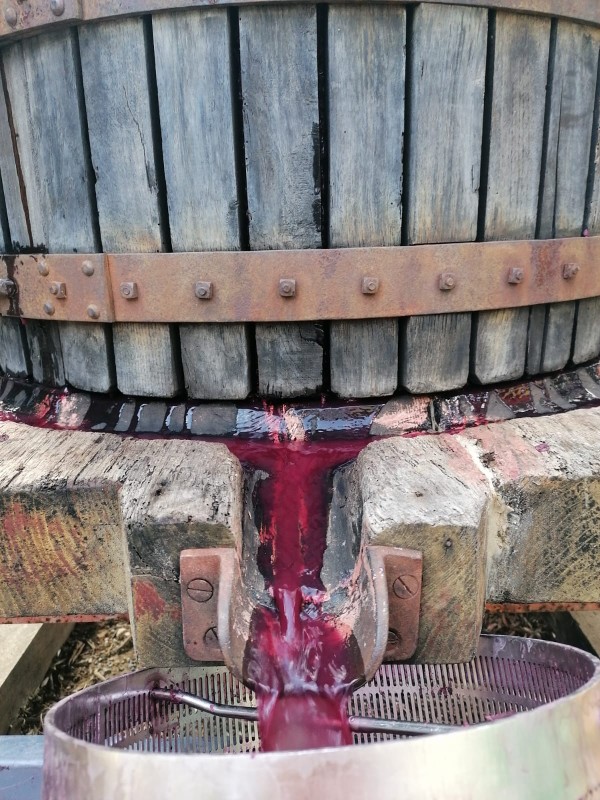 Domaine viticole La Chochotte du Boulon à Maubec