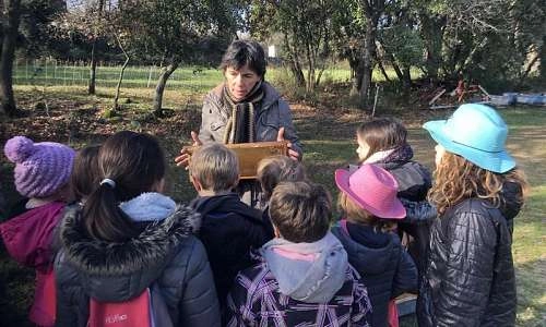 Animation centre aéré ou école