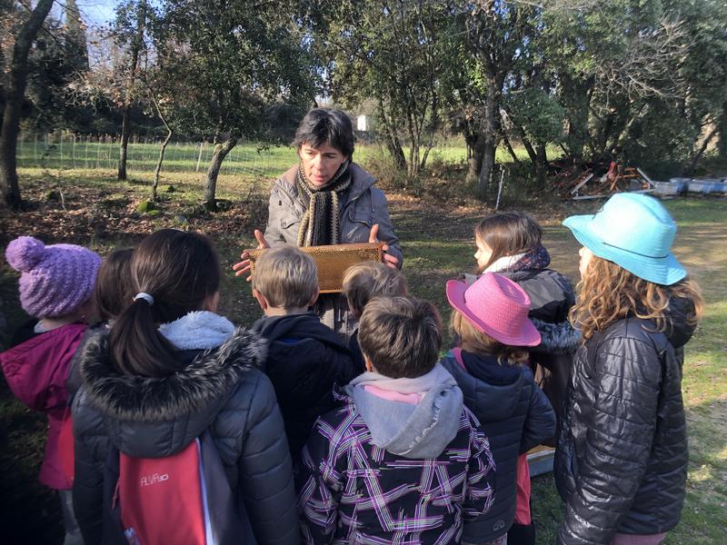 Les ruchers des Mességuières - Lauris