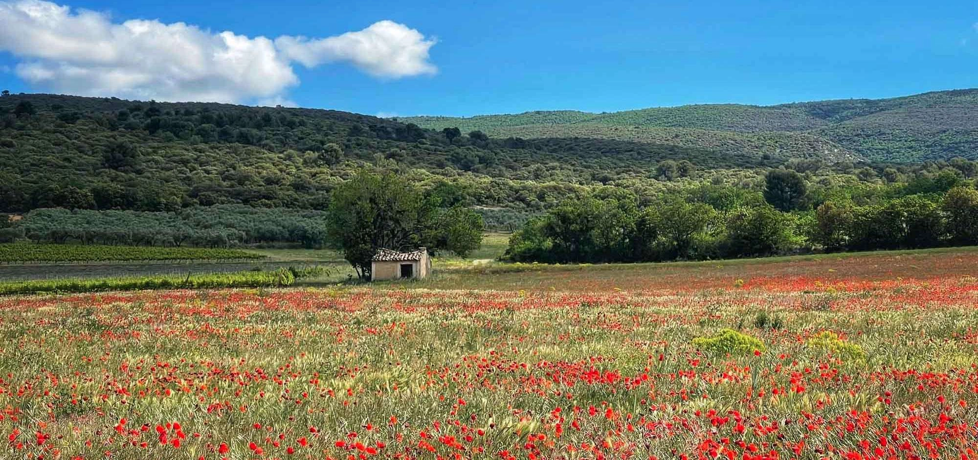 Your Private Provence