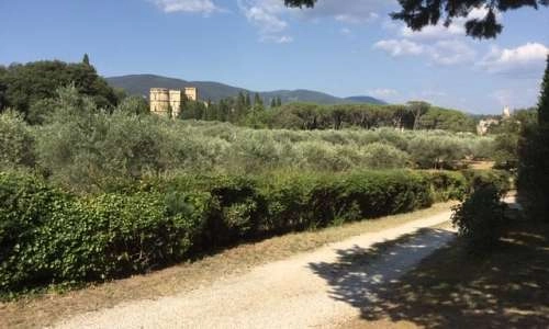 Domaine de Casteuse