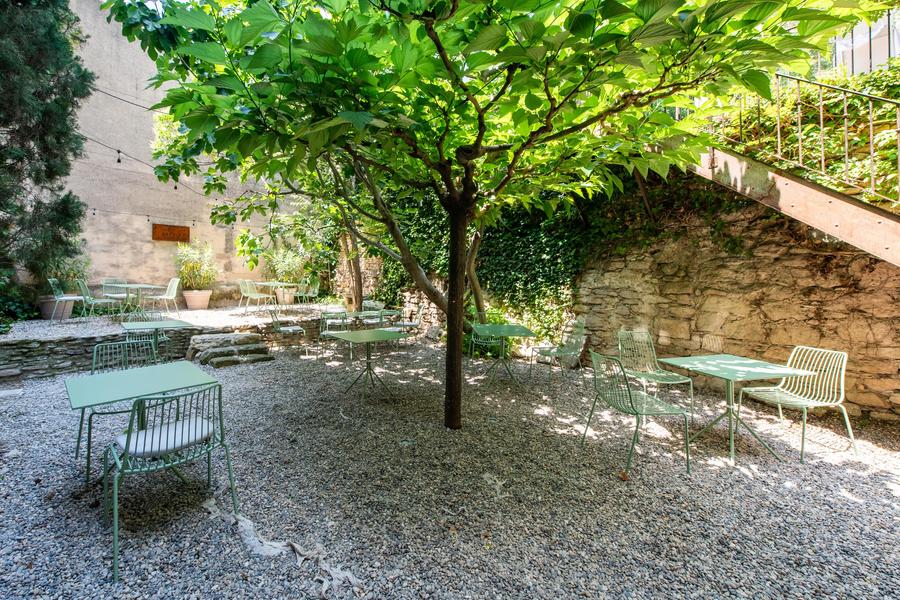 Provençal patio at Au Ralenti du Lierre in Les Beaumettes Shaded patio with century-old fig tree at Au Ralenti du Lierre in Les Beaumettes