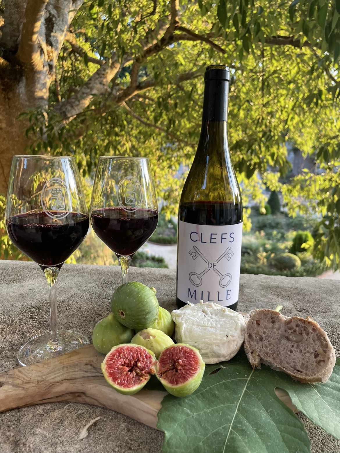 Red wine tasting at Château de Mille with fresh figs, cheese, and artisanal bread