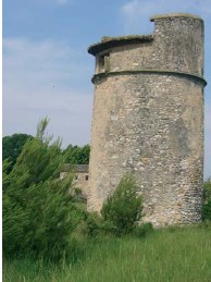 Moulin Saint Augustin - Oppède
