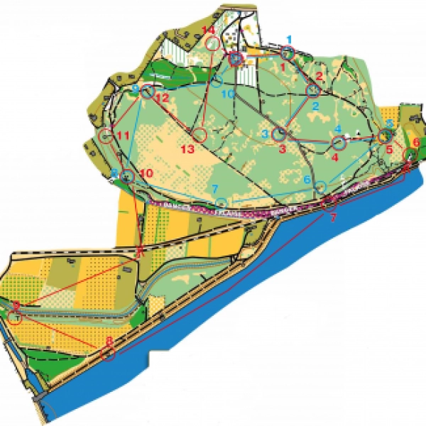 Parcours d'orientation 