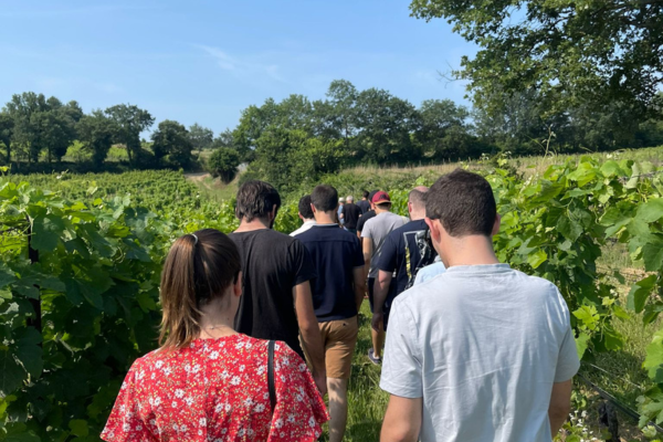 Guided tour through the vineyards of Domaine Le Novi in the heart of the Luberon vineyard