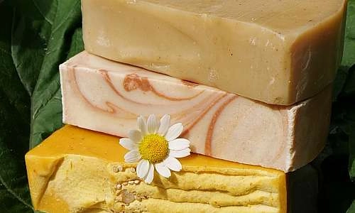 la cabane dans les bois