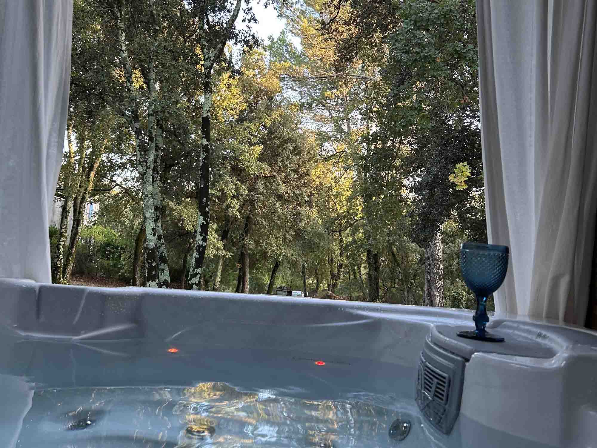 Enjoy Cocoon Cosy's spa overlooking the trees of Puget park Cocoon Cosy spa with a view of nature