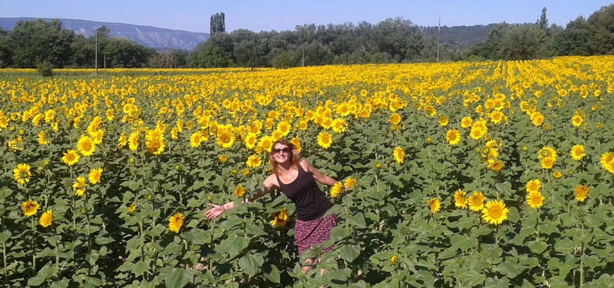 Provence Excursions – Sightseeing Tours, Private Tours & Transfers