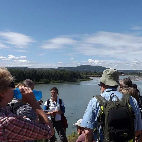 Short loop through La Garrigue in Mérindol
