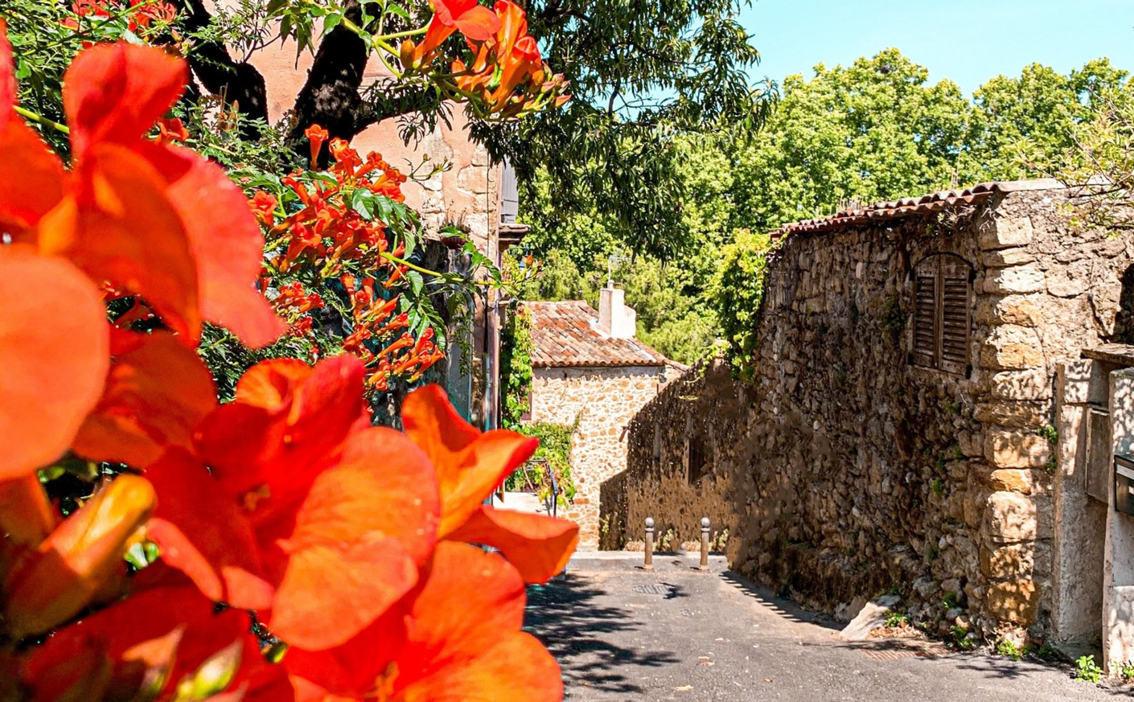 Orange flowers in the foreground of a Vaugines alley