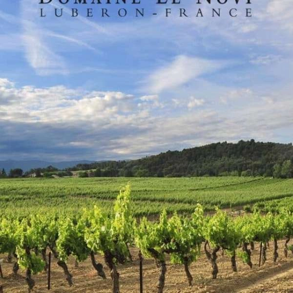 Sunsets Vignerons 2025 at Domaine Le Novi