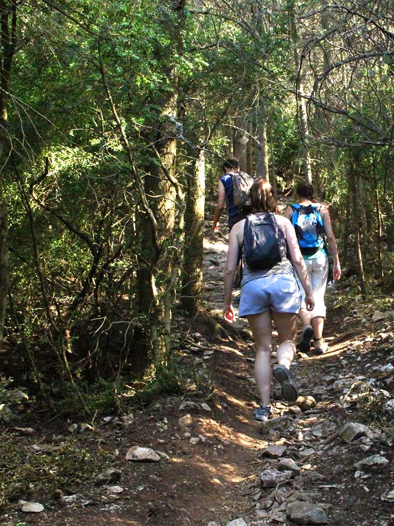 Hikers climbing a forest trail in the Petit Luberon