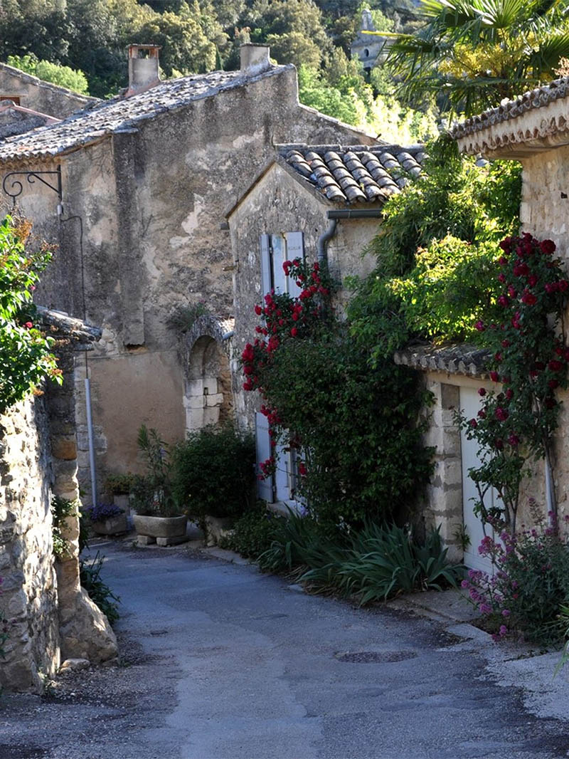 Paved and flower-lined alley in Oppède-le-Vieux