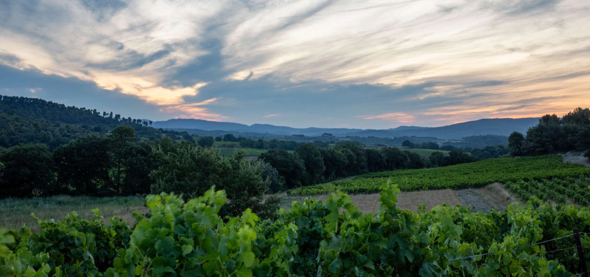 Sunsets Vignerons 2025 at Domaine Le Novi