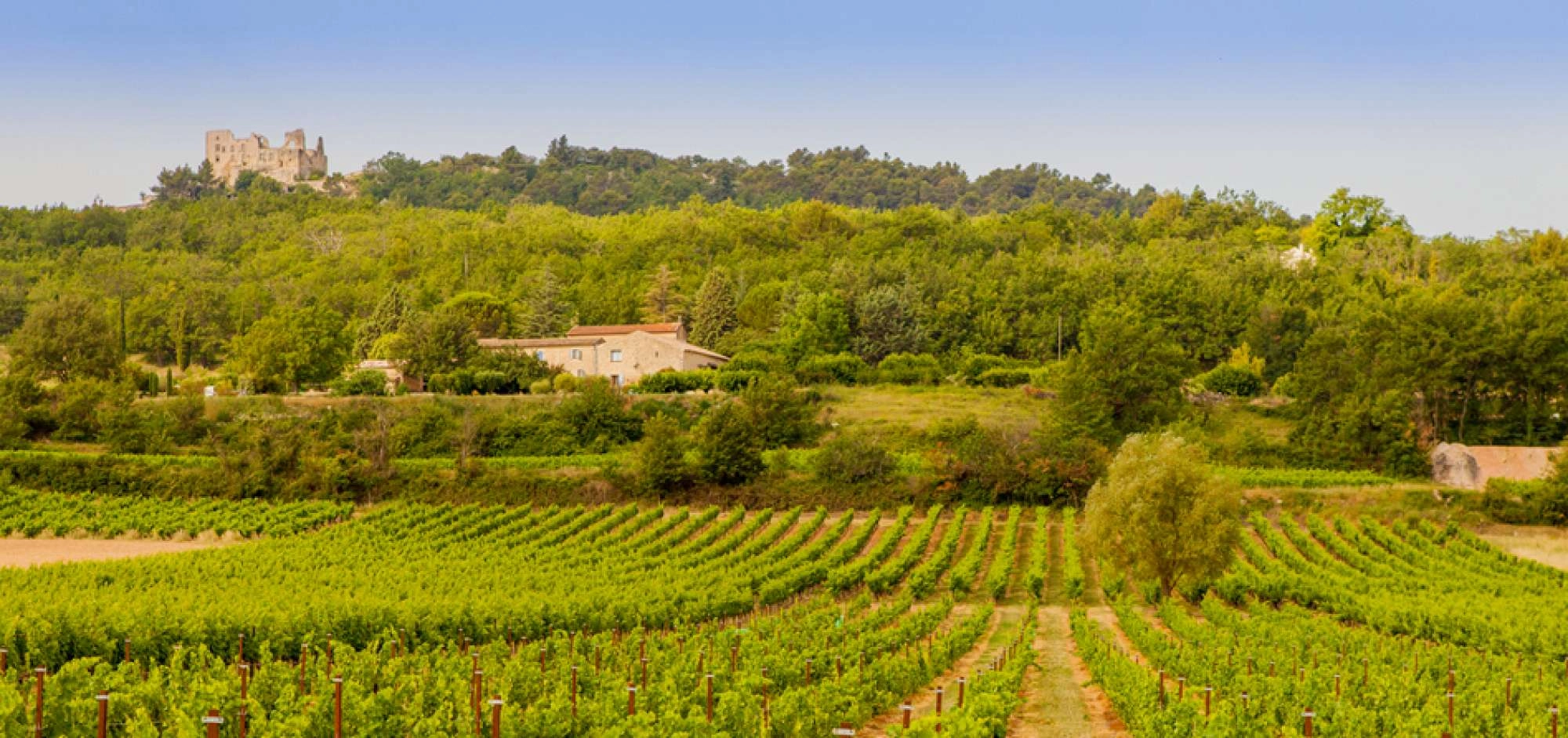 Sunsets Vignerons 2025 at the Cave de Bonnieux