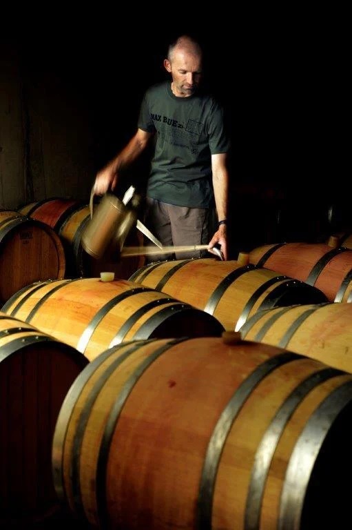 Domaine de la Verrière vineyards in Goult dans le Luberon