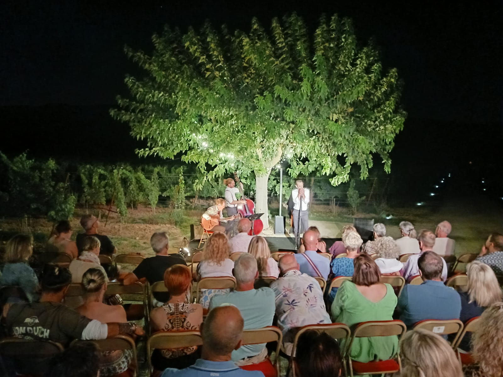 Musical picnic evening at Domaine La Garelle facing the Luberon