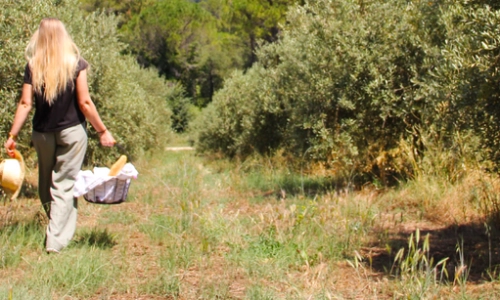 Pique-nique dans l'Oliveraie à La Bastide du Laval_Cadenet