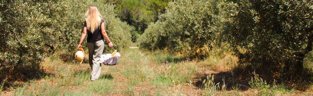 Picnic in the olive grove at Bastide du Laval, in the heart of the Luberon