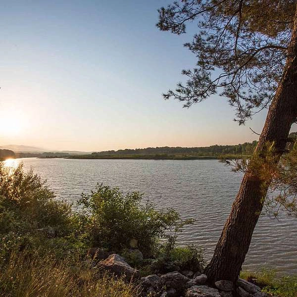 Easy hike in Mérindol: Between garrigue and Durance