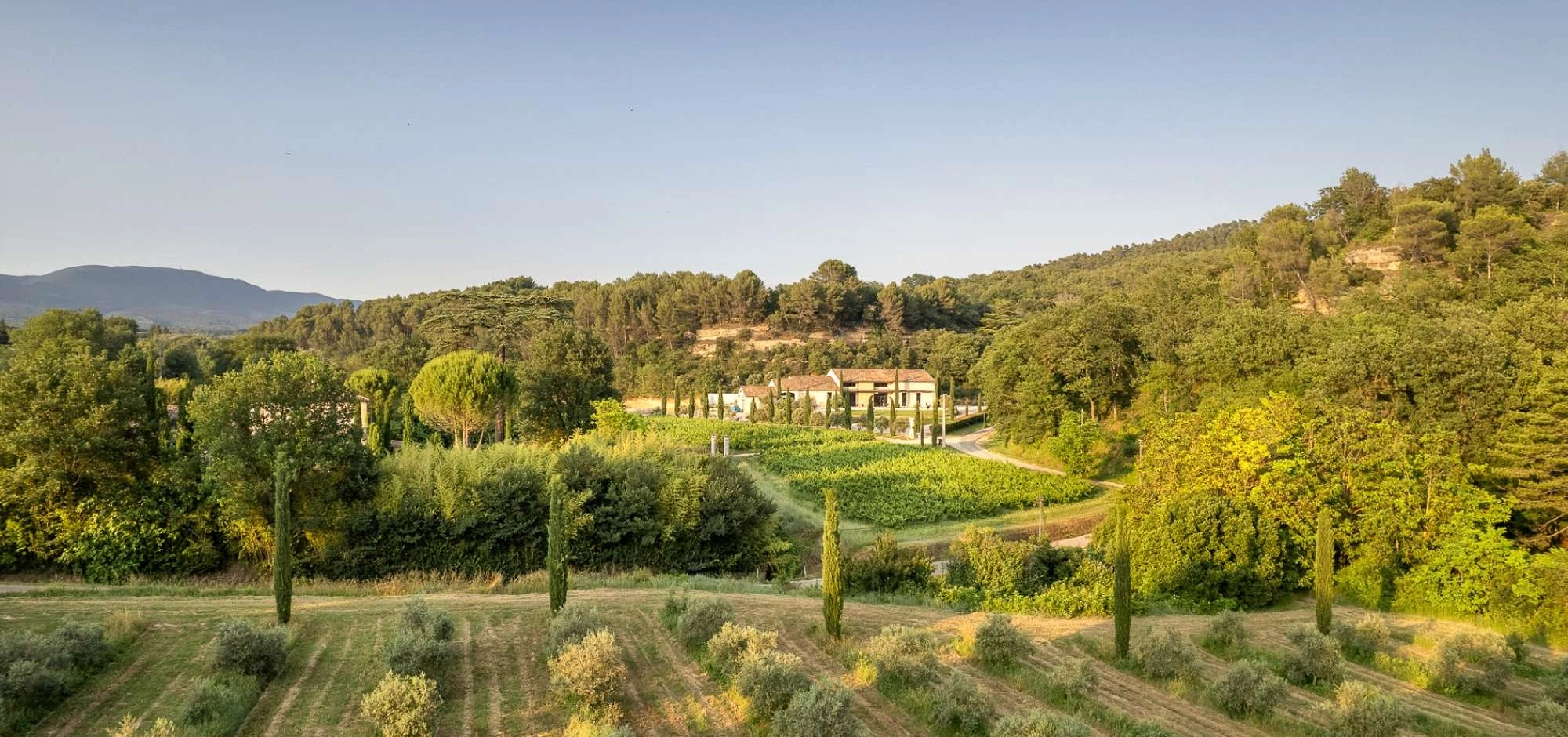 Picnic in the Olive Grove at La Bastide du Laval