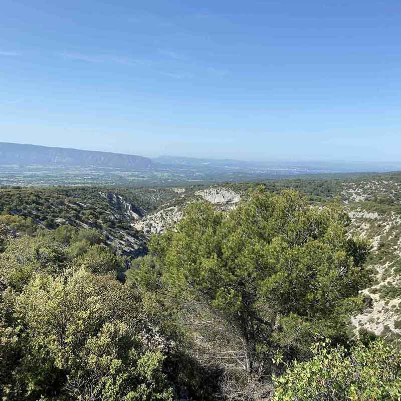 Hike on the Maquis Trail near Gordes, between heritage and nature