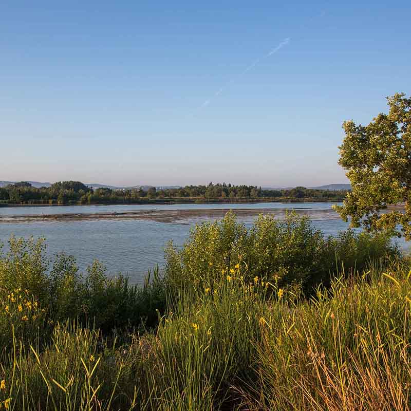 Family walk in Mérindol between garrigue and wetlands of the Luberon