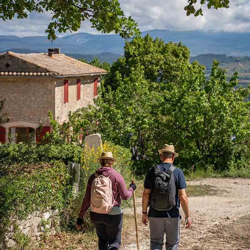 Gourmet hike in Cheval-Blanc with craft beer tasting