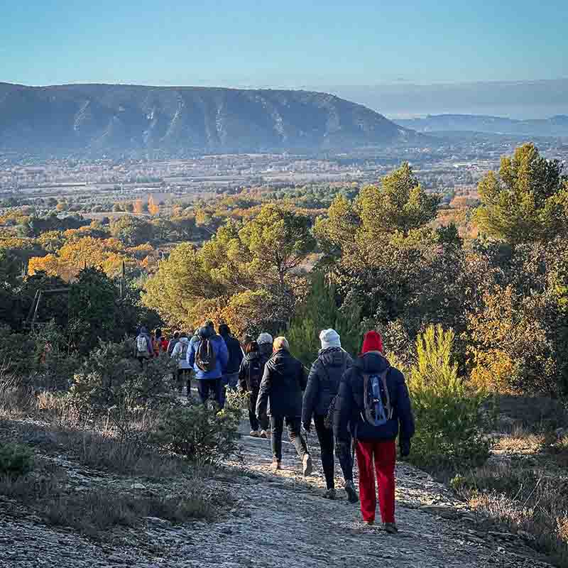 Hike in Oppède in the Luberon with winter truffle tasting