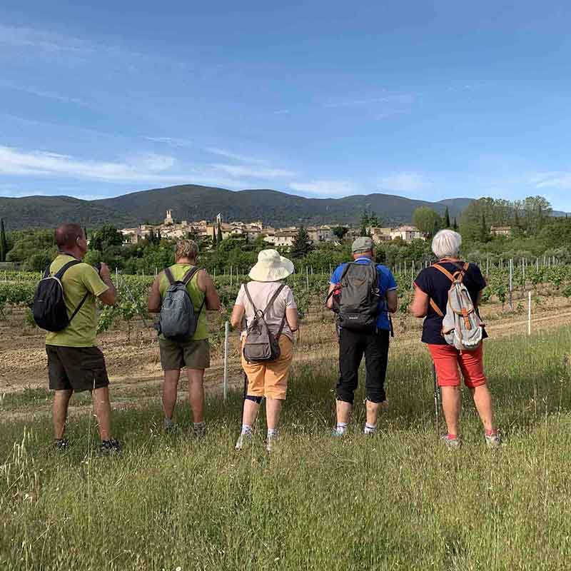 Gourmet hike in Cadenet and Lourmarin with olive oil tasting
