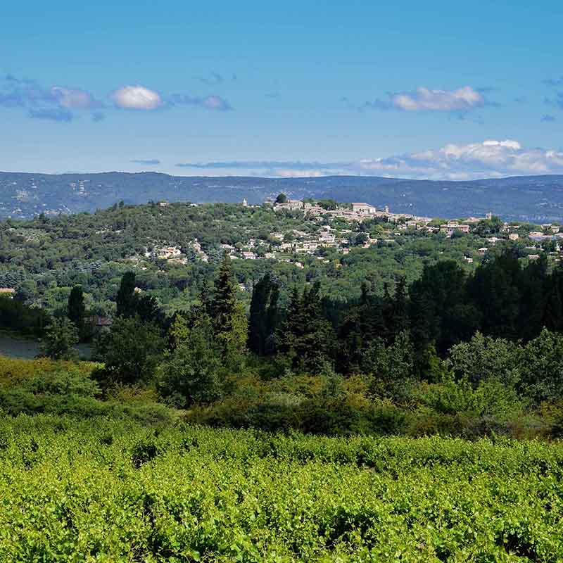 Hike in Goult with goat cheese tasting at the Canta Cabra farm