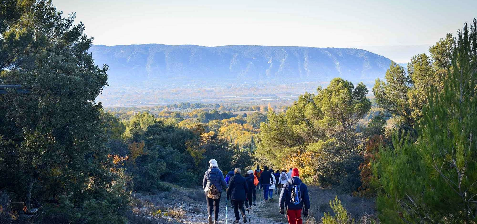 Guided tours and walks in the Luberon