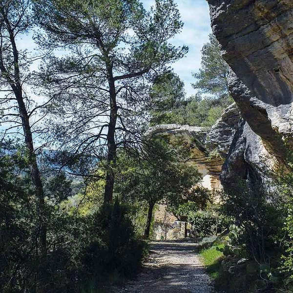 Botanical walk - Les Beaumettes