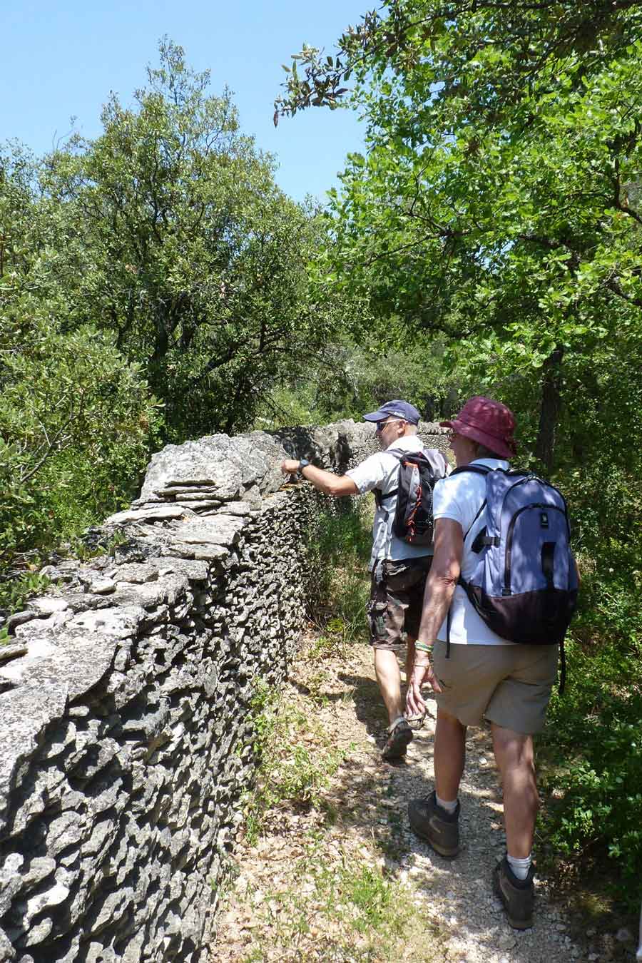 Hikers on a trail lined with dry-stone walls in Les Beaumettes, in the heart of the Luberon