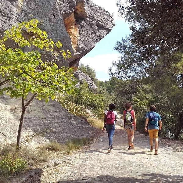 Garrigues Walk in Les Beaumettes - Easy Loop with Views