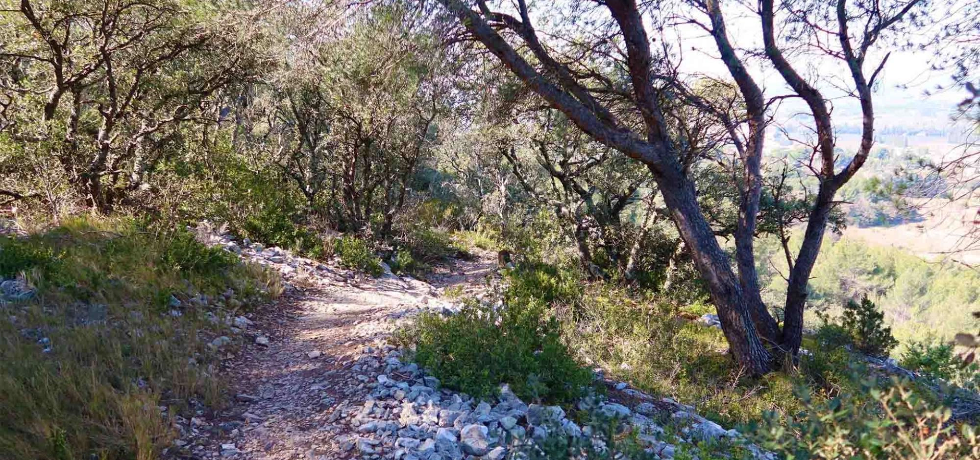 LAGNES - Discovery Trail in the Monts de Vaucluse