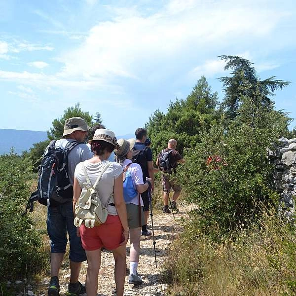 CABRIÈRES D'AVIGNON - The Plague Wall