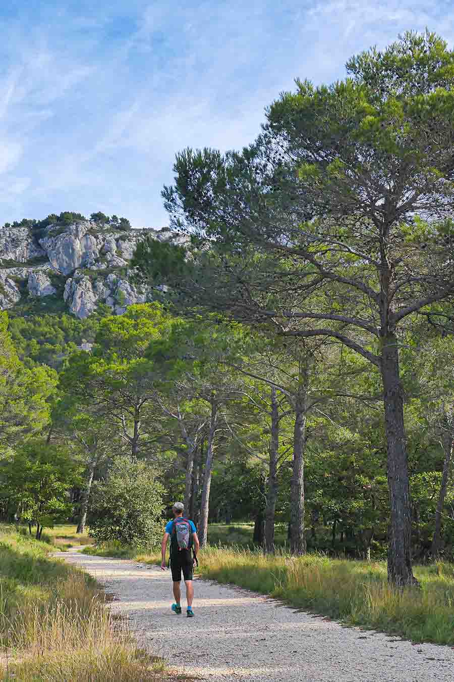 Around the hamlet of La Roquette on the Crau des Mayorques, nature hikes in Cheval-Blanc