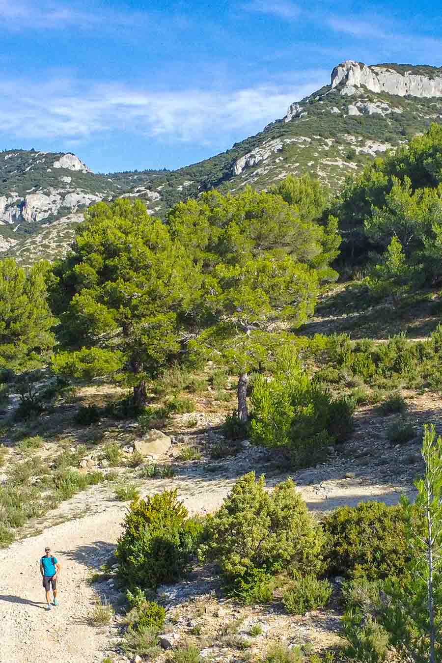 Panoramic view of the Petit Luberon from the Crau des Mayorques, wild and open landscape