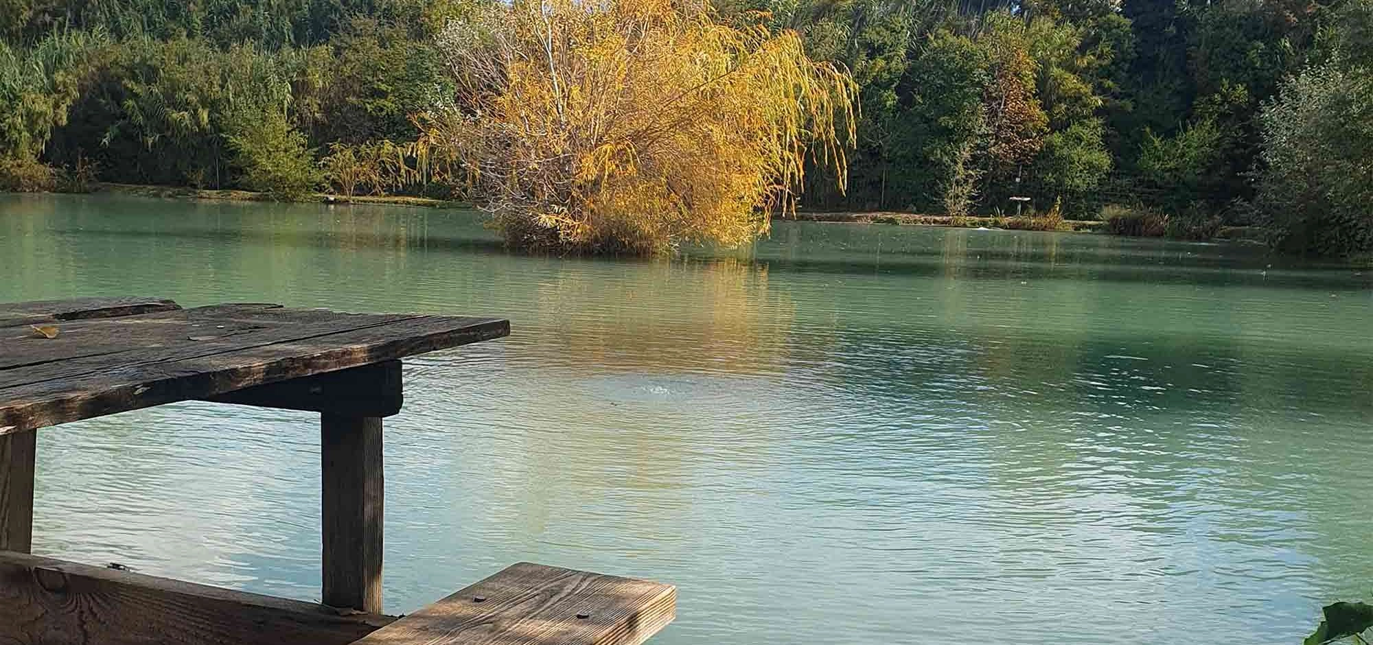 PassionAquatic - Trout fishing lake