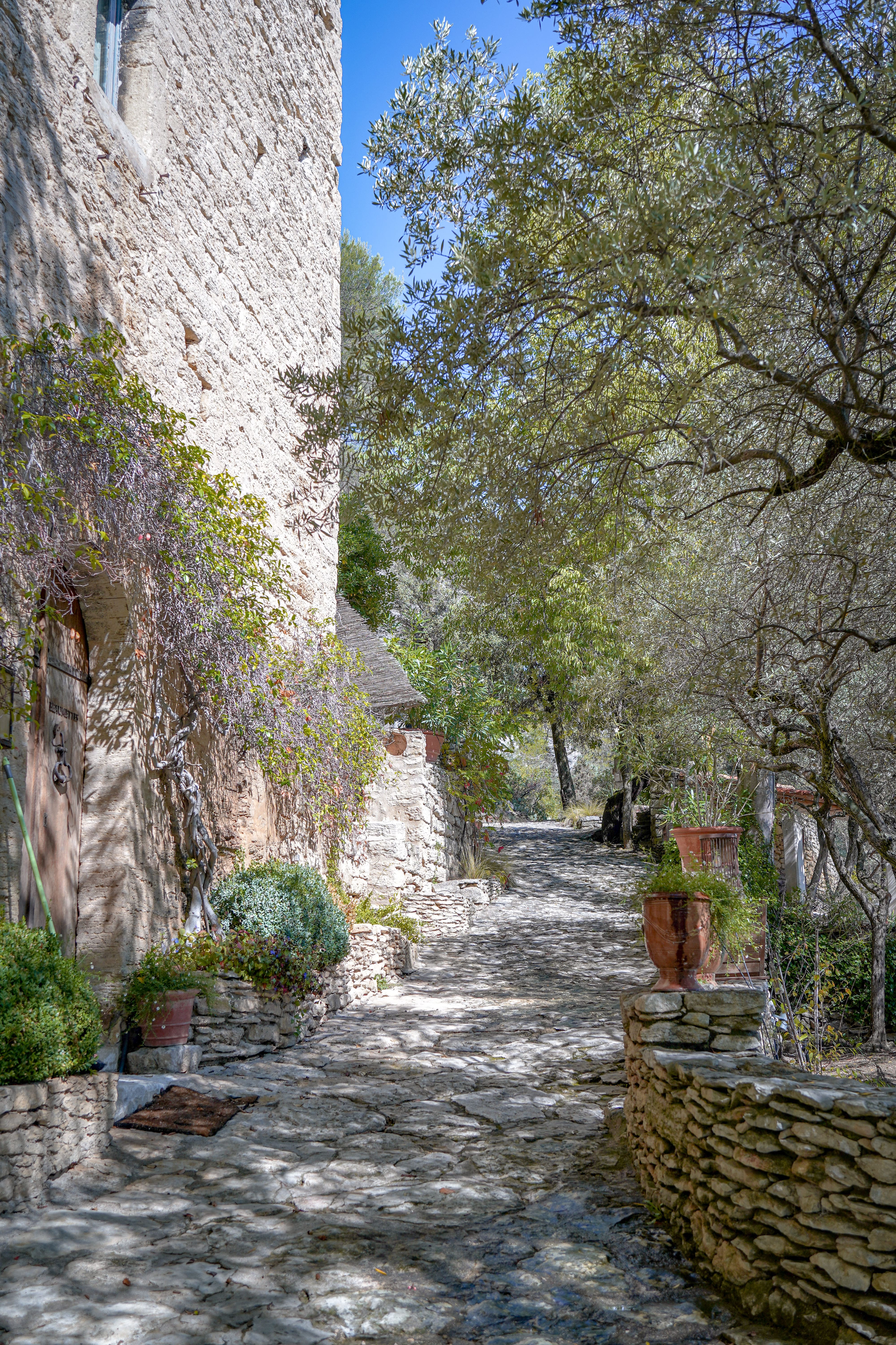 Paved path lined with stone walls and vegetation in Les Beaumettes, in the heart of the Luberon