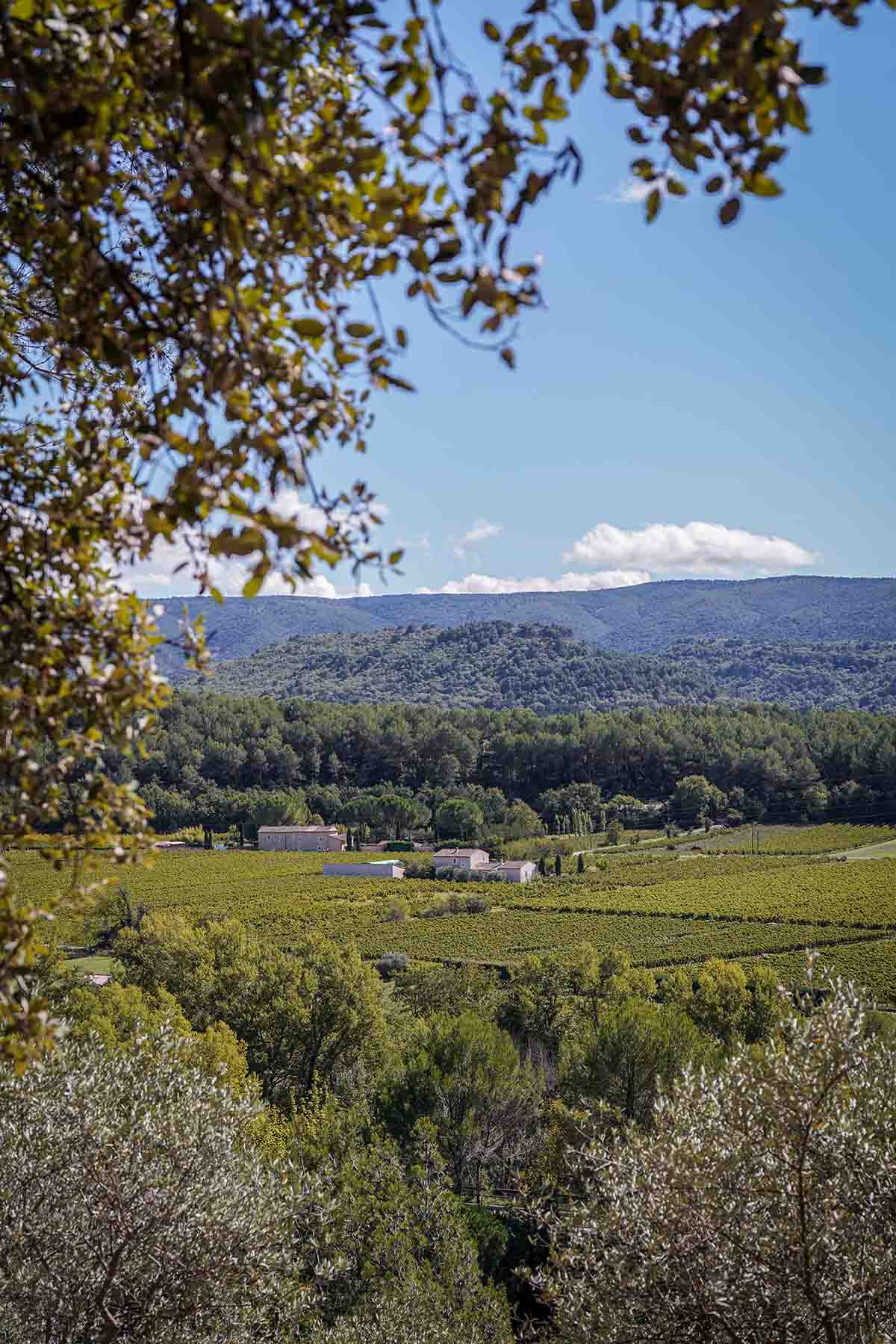 Agricultural landscape and wooded hills around Les Beaumettes, in the heart of the Luberon