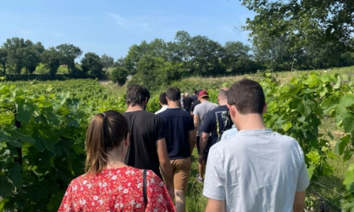 Au coeur du vignoble au Domaine 