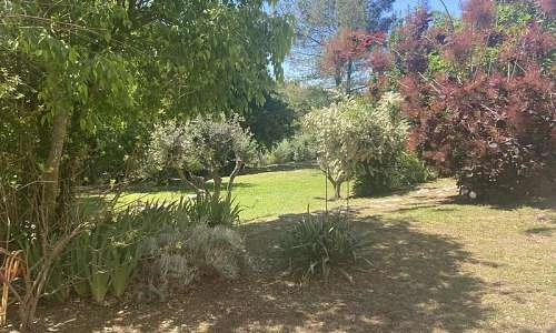 jardin ombragé