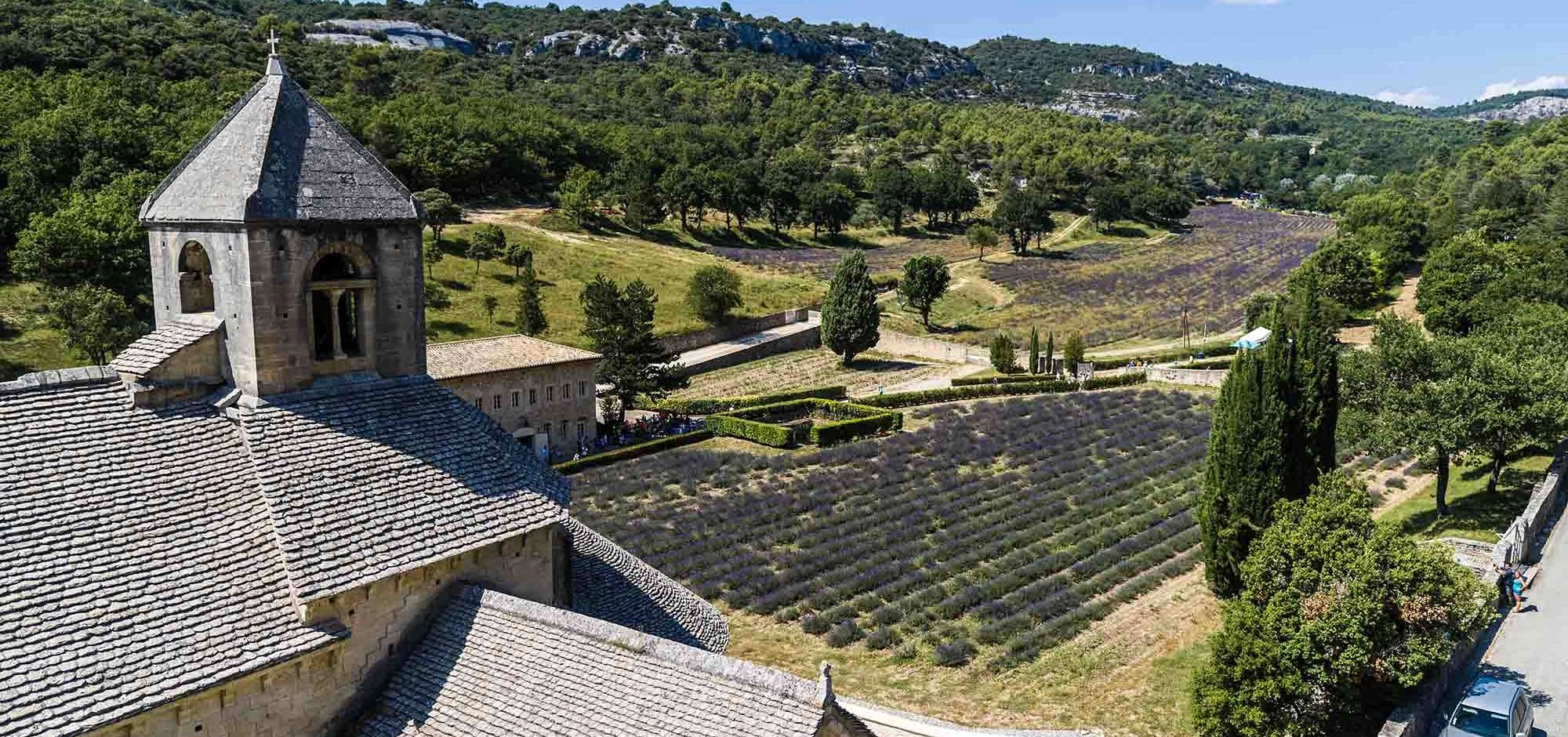 Discover Sénanque Abbey Step by Step