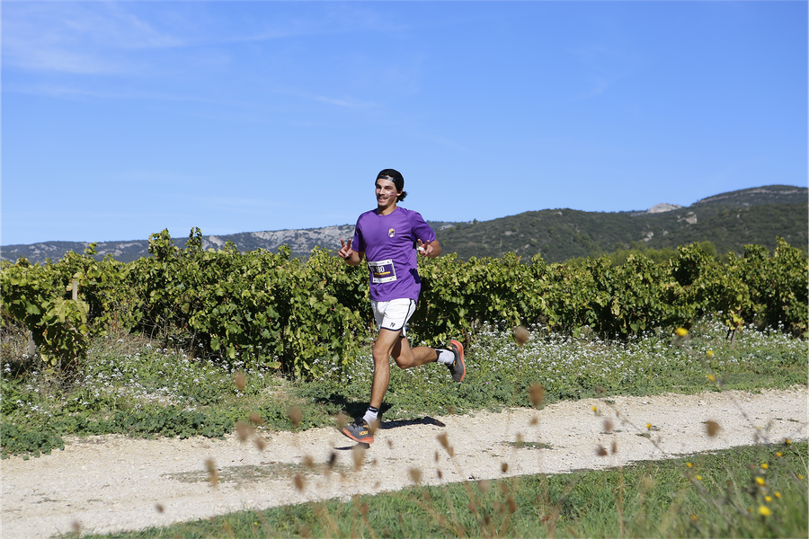 Runner in the vineyards of Puget-sur-Durance during the La Vigneronde charity trail in the Luberon