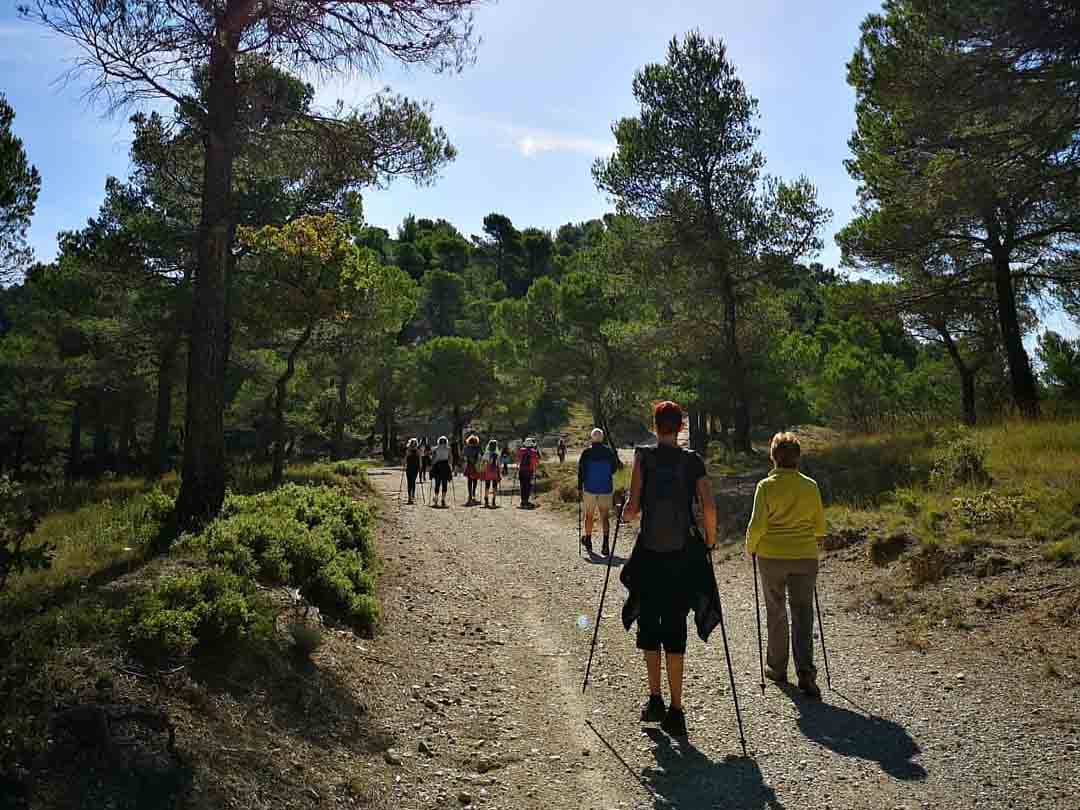 Nordic walking group on a forest trail in the Luberon