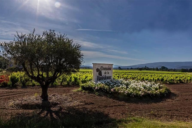 Entrance of Domaine de la Bastidonne with vineyards in the background in Cabrières d’Avignon