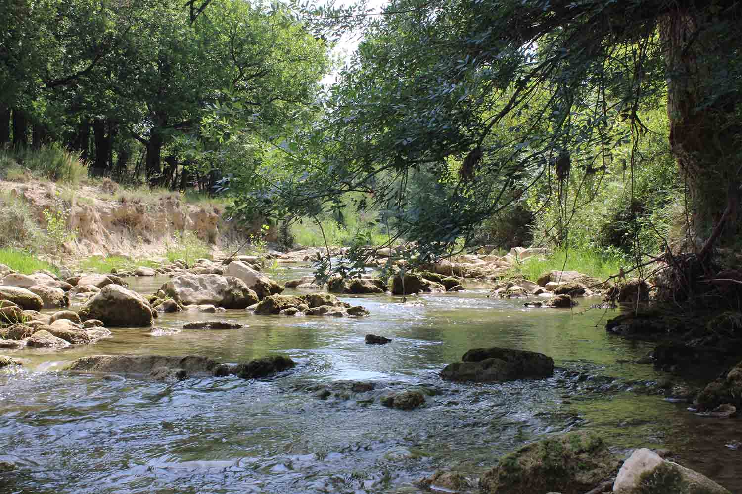 The Coulon (Calavon), a torrential river in the Luberon Regional Natural Park